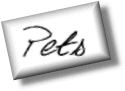 Pencil portraits of pets