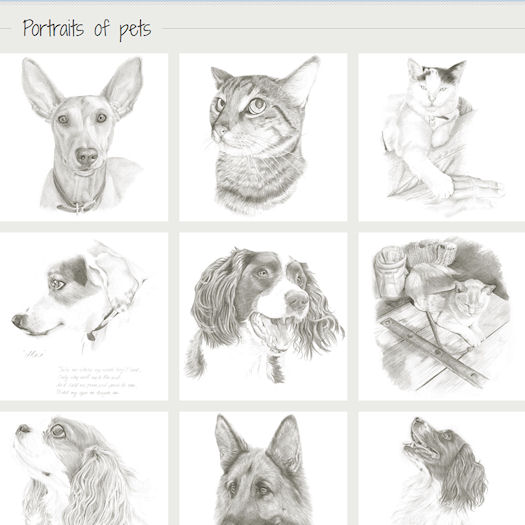 Portraits of pets